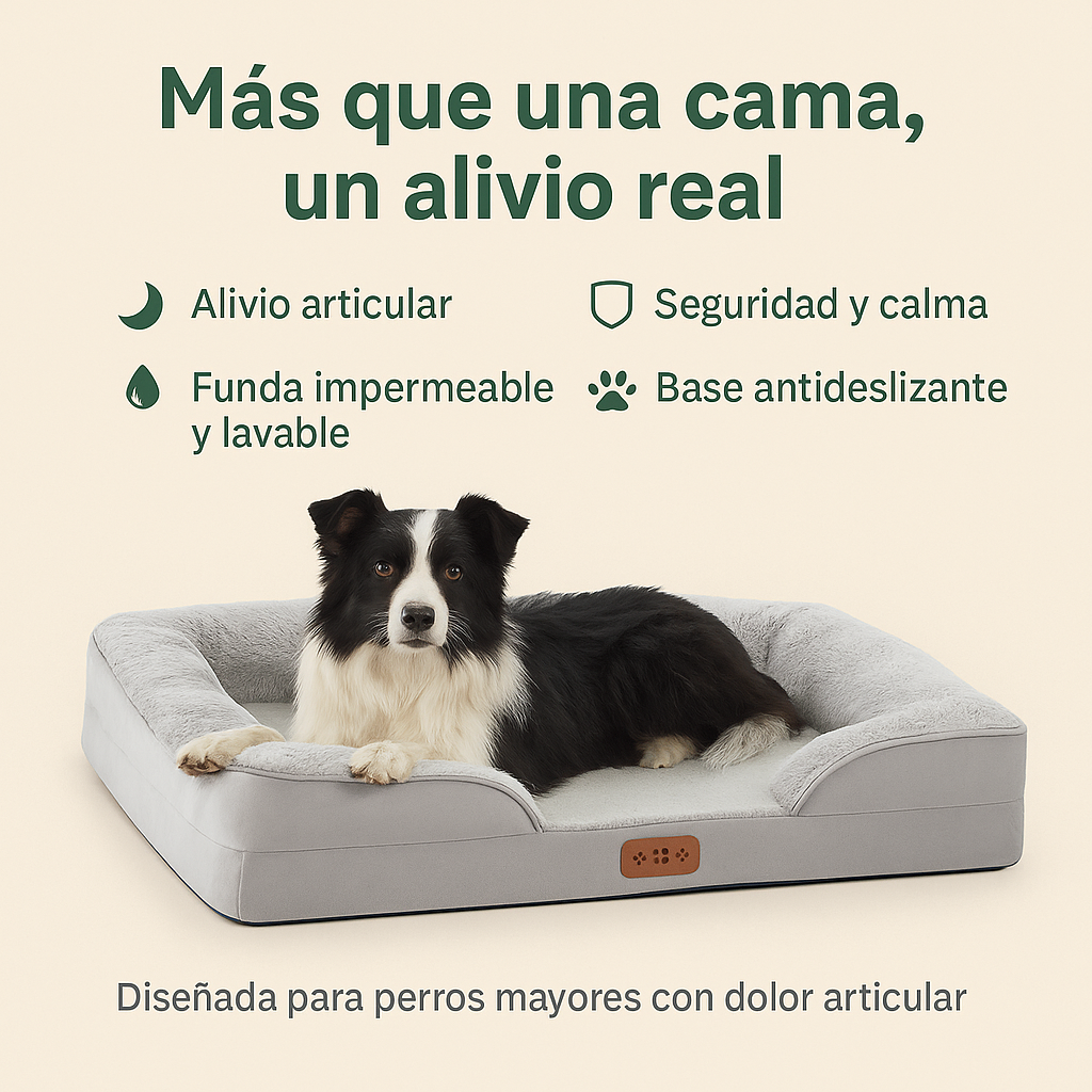 Cama ortopédica perro Zarpal+